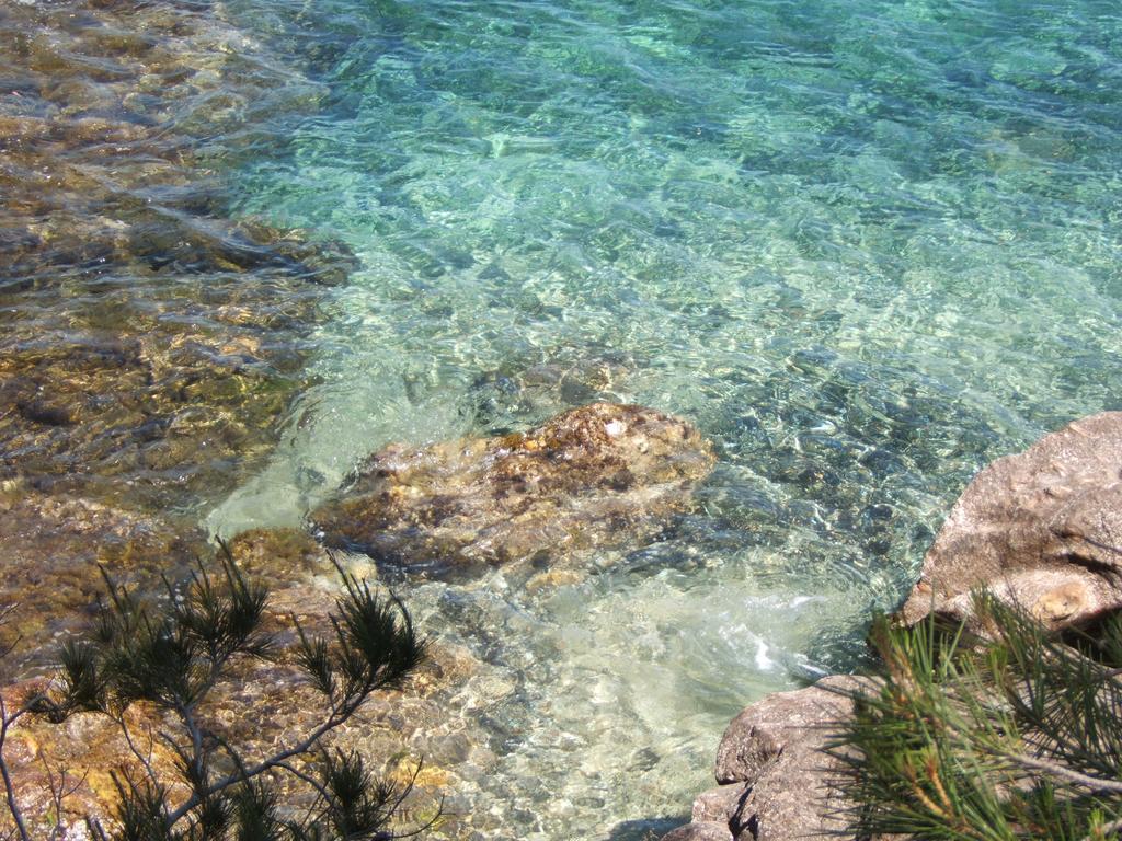 Le Rayol-Canadel-sur-Mer Les Lauriers Rosesアパートホテル エクステリア 写真