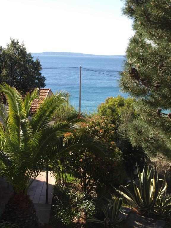 Le Rayol-Canadel-sur-Mer Les Lauriers Rosesアパートホテル エクステリア 写真